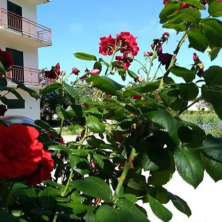 Studio Apartman Fran Podstrana